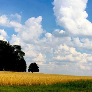 Meet your Posher, Suzanne